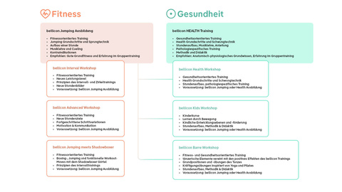 Eine Grafik, die die verschiedenen Angebote der bellicon Academy darstellt.
