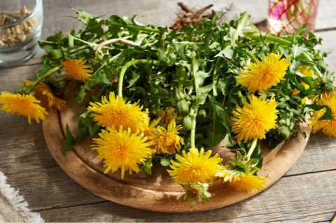 Icon image use dandelion for cooking.